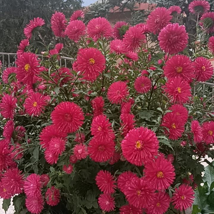別來无恙