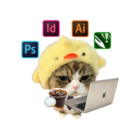 新里