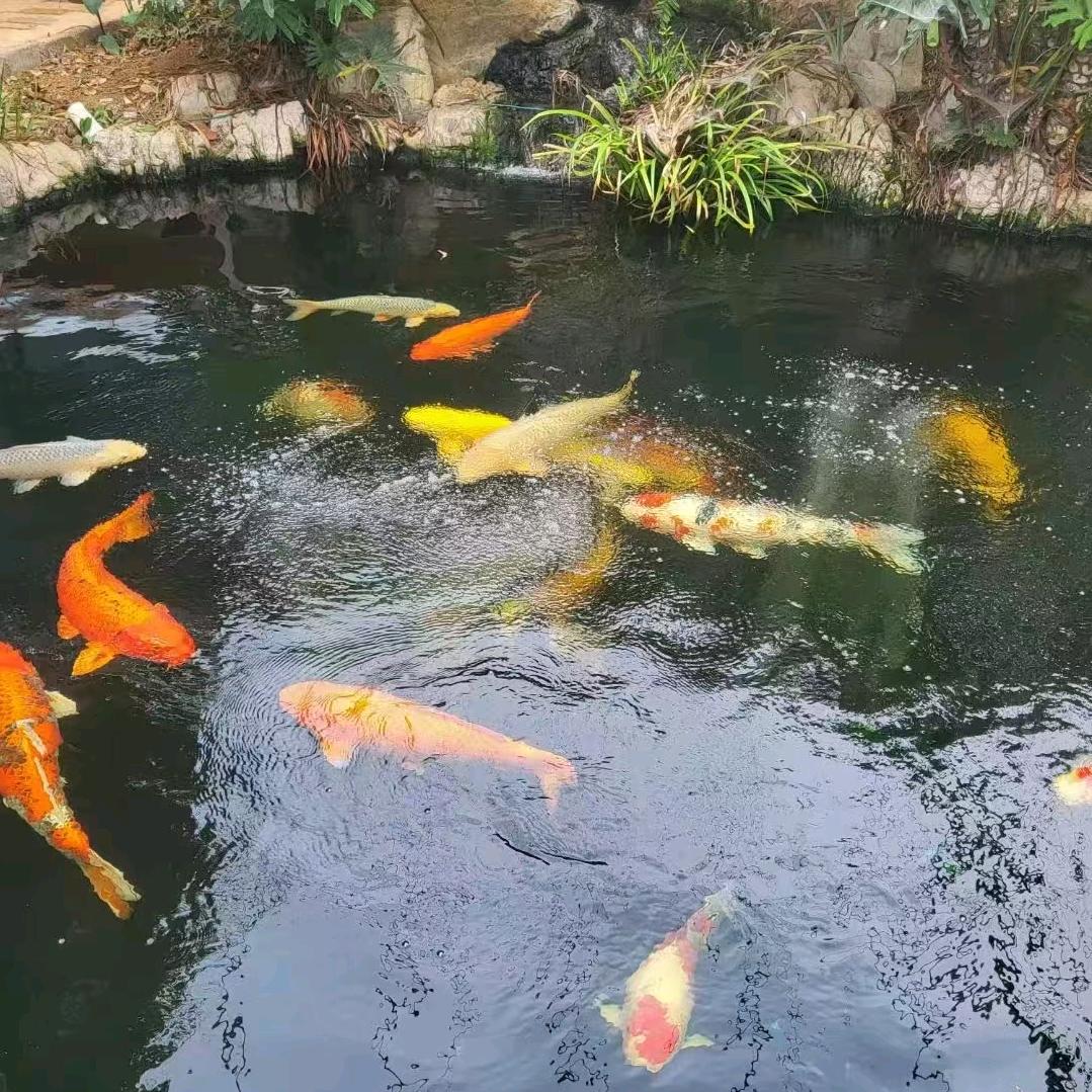 小汐