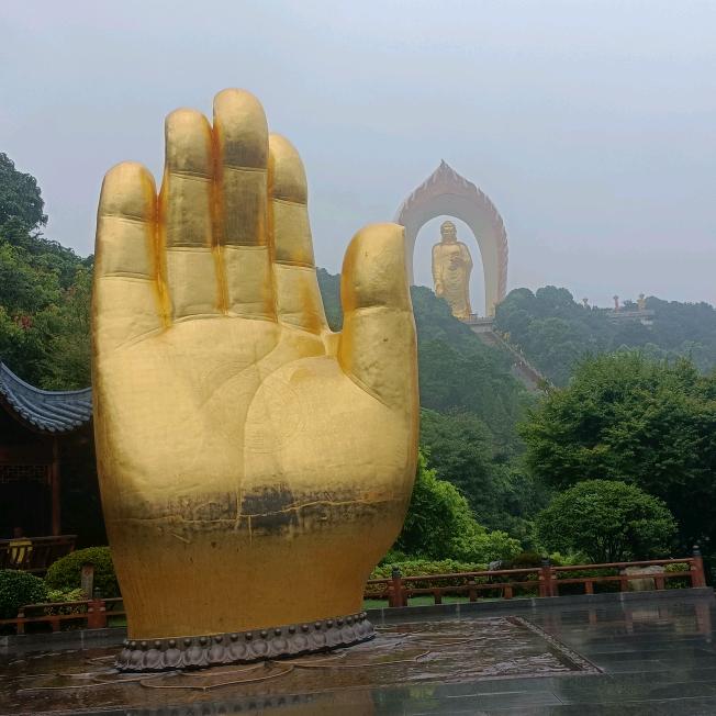 南墙👽已撞💪