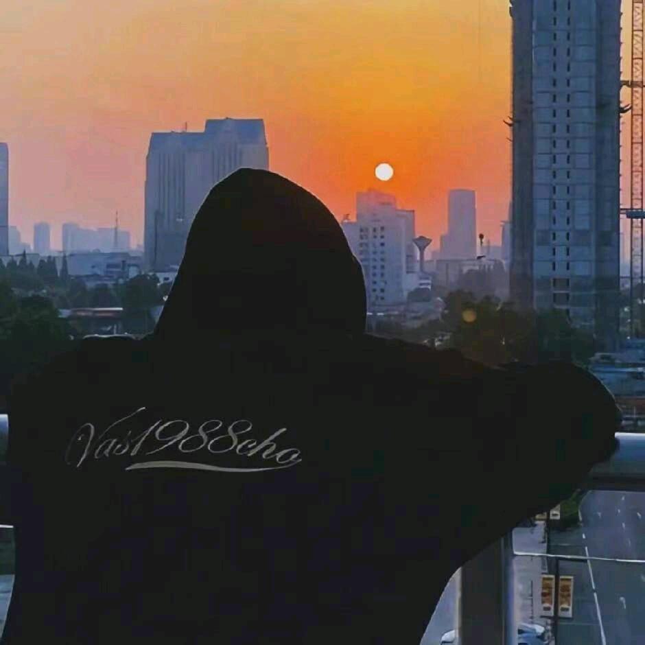 天才和疯子中间的半糖