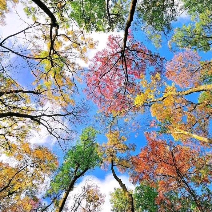 山东评粮食品科技有限公司