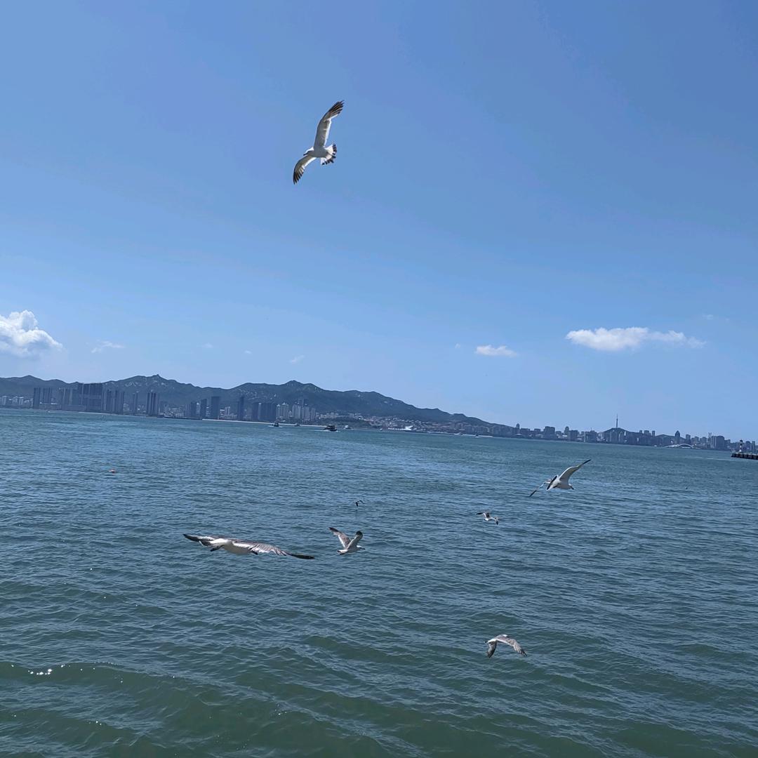 橘子橙