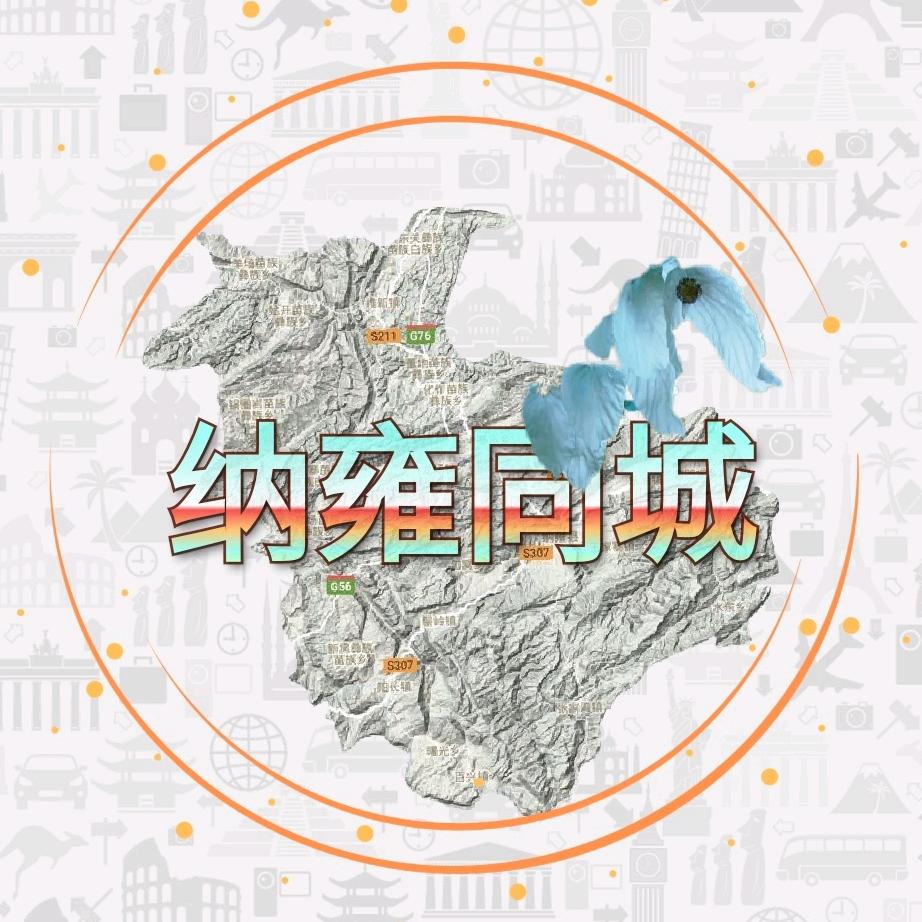 纳雍同城