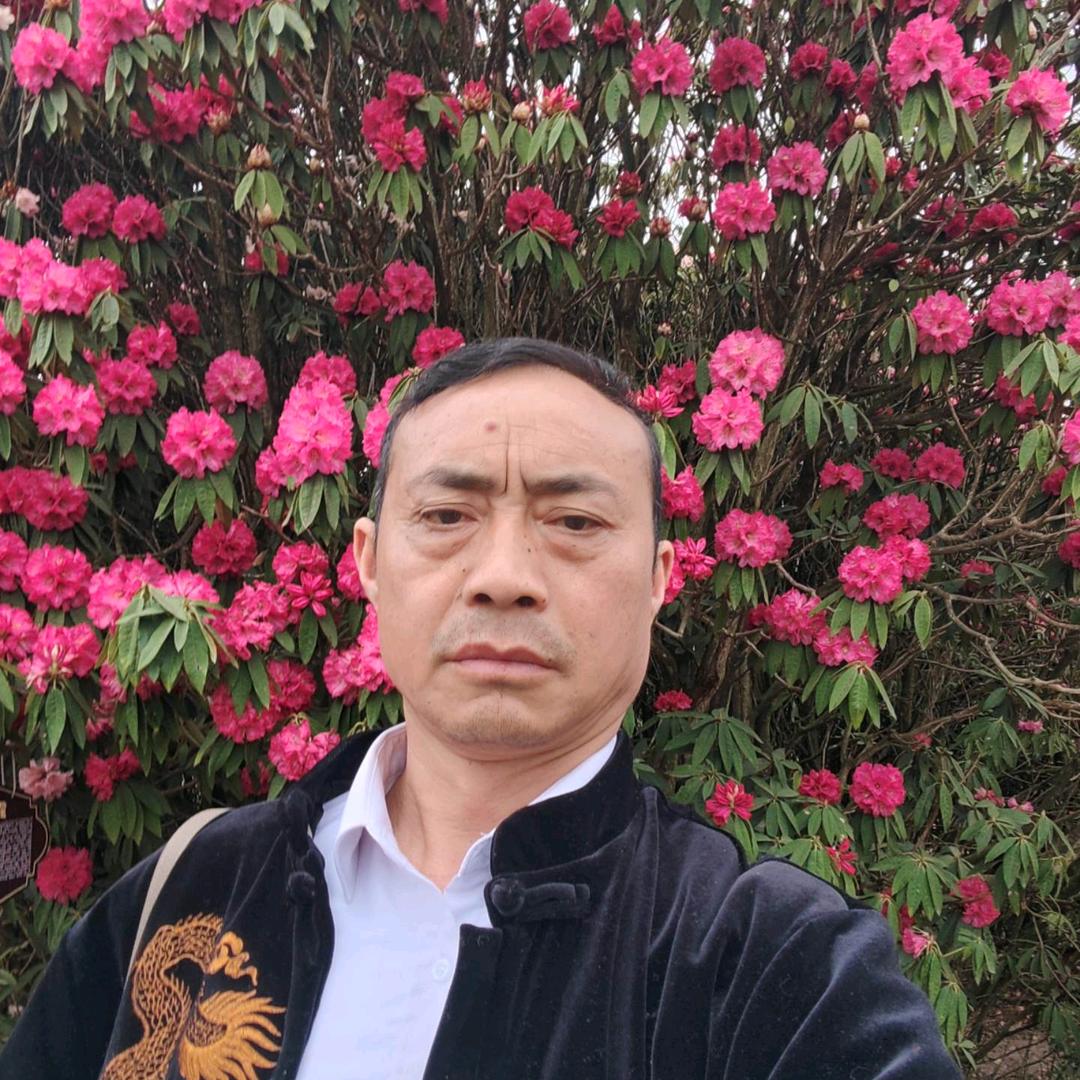 陈文静收大小猪