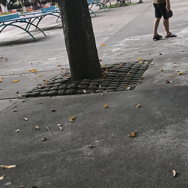 窜天猴
