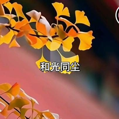 跟着蒙主去吃瓜