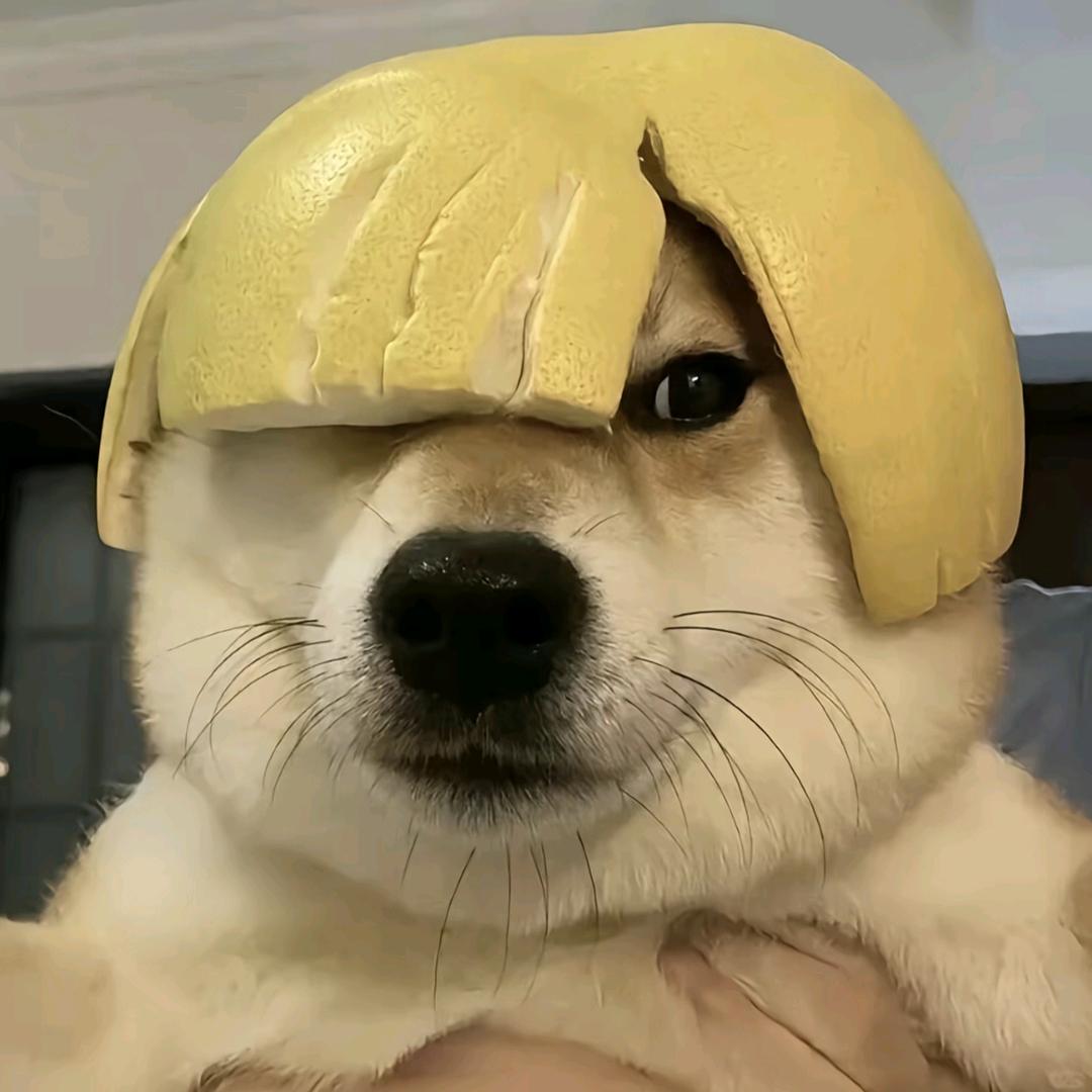 冬冷ᶻ