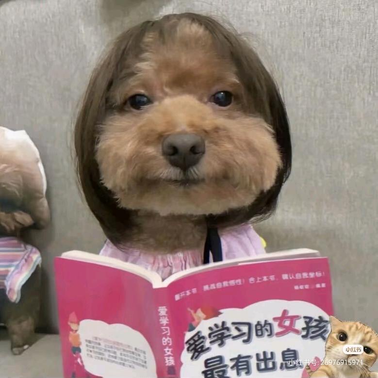 牛汤汤真的超可爱（月月全肯定版）