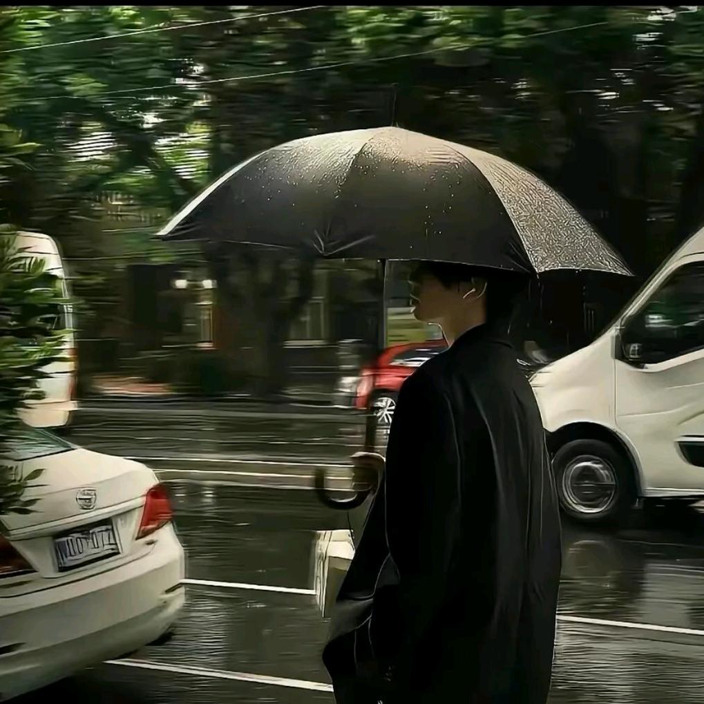 晚枫
