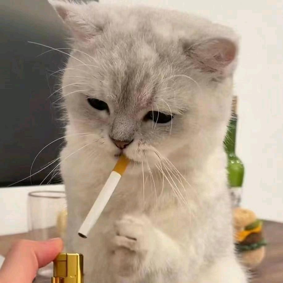 G.m