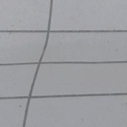 在逃公主