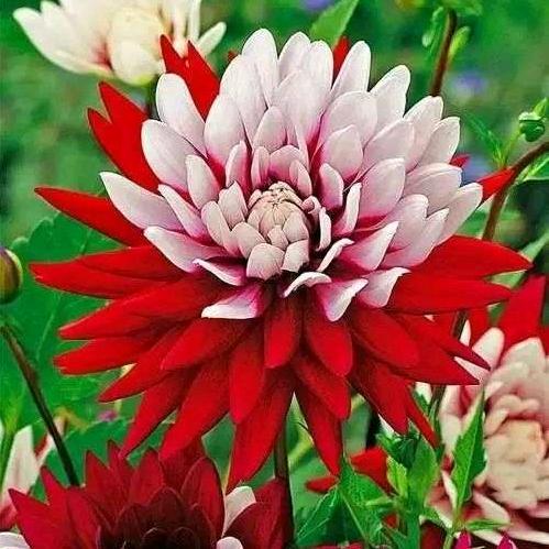 平平淡淡过一生🌹🌹🌹🌹🌹🌹