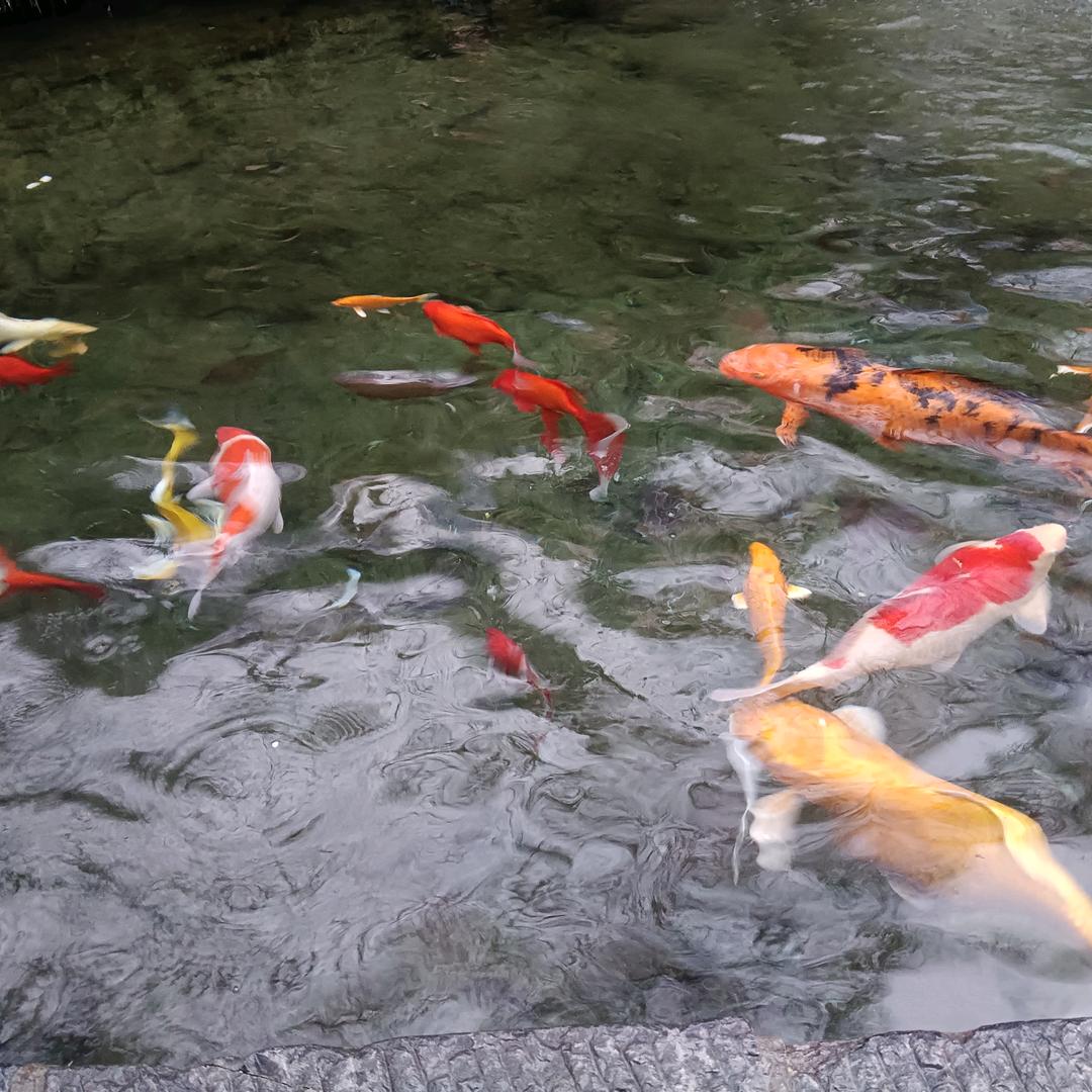 做一个傻傻的妞，开心快乐每一天