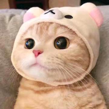 。头像