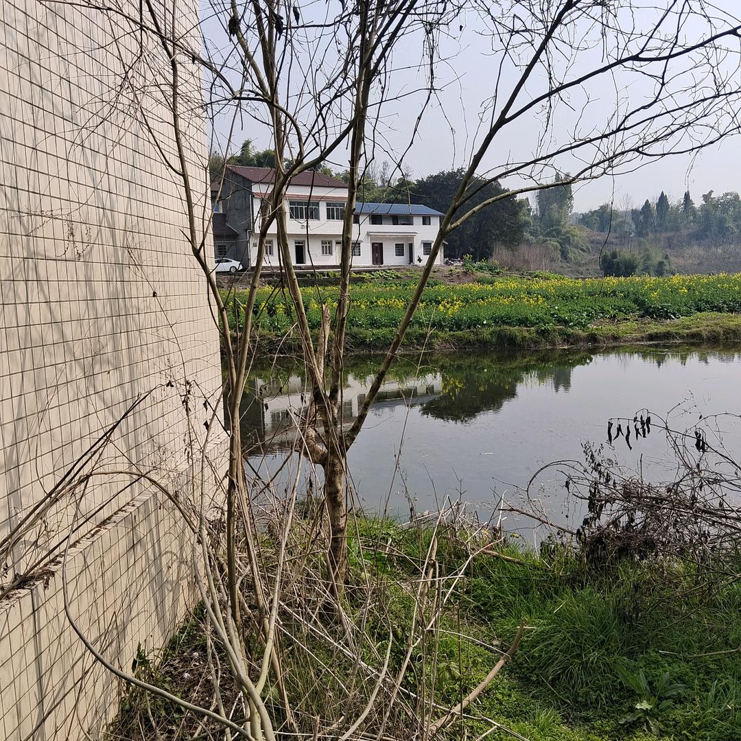 歲歲平安得償所願