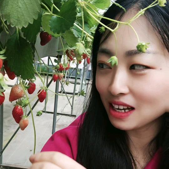 潇潇在日本
