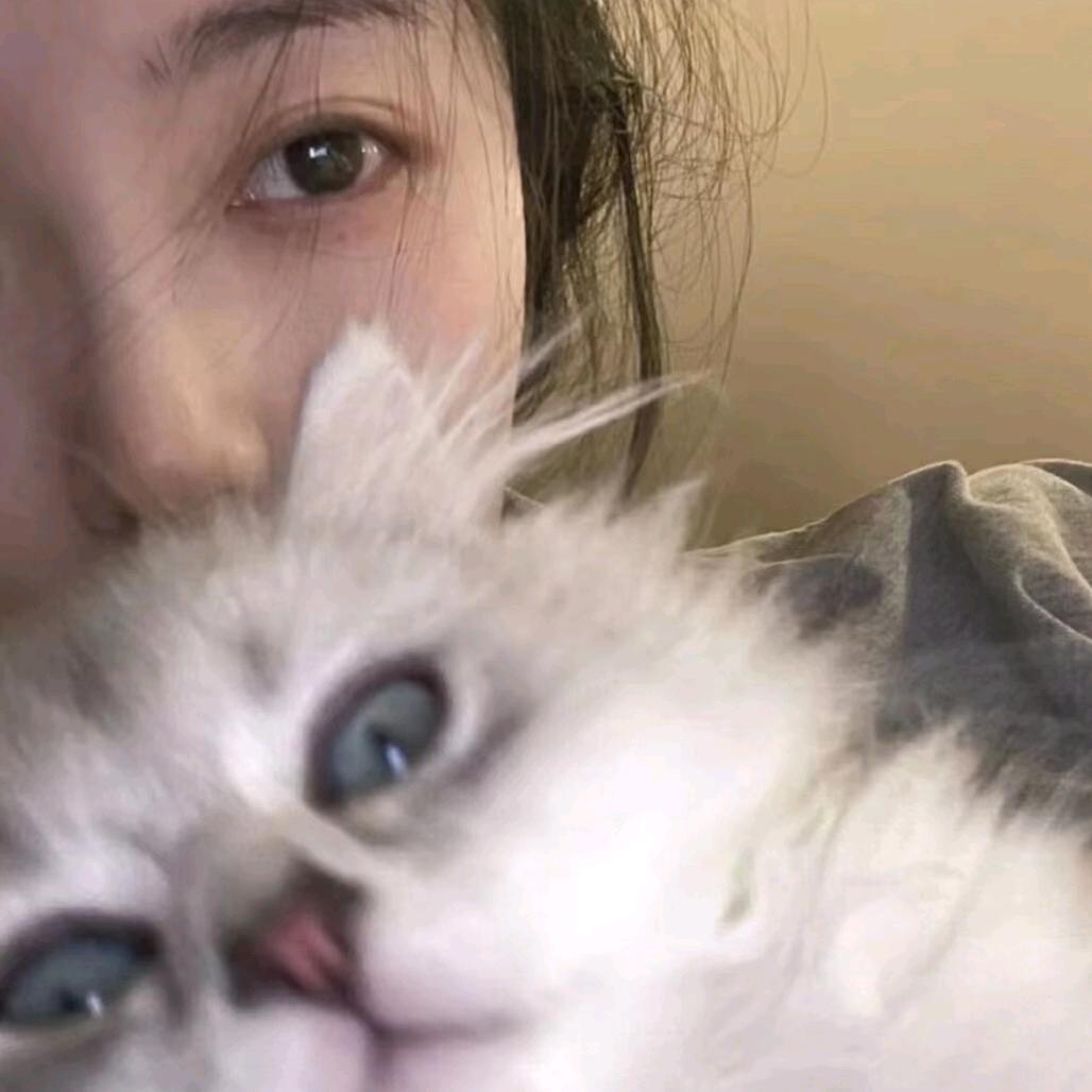昔芸