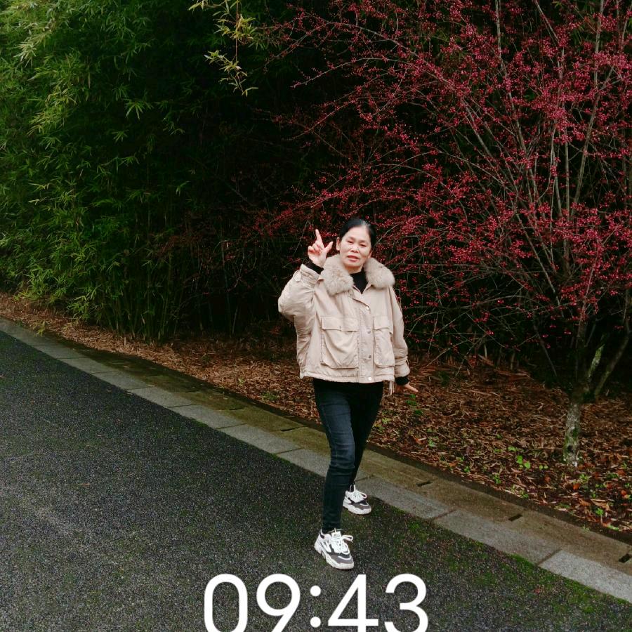 龙友英