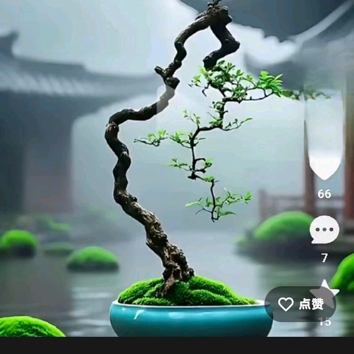 爱桂人《桂痴》》