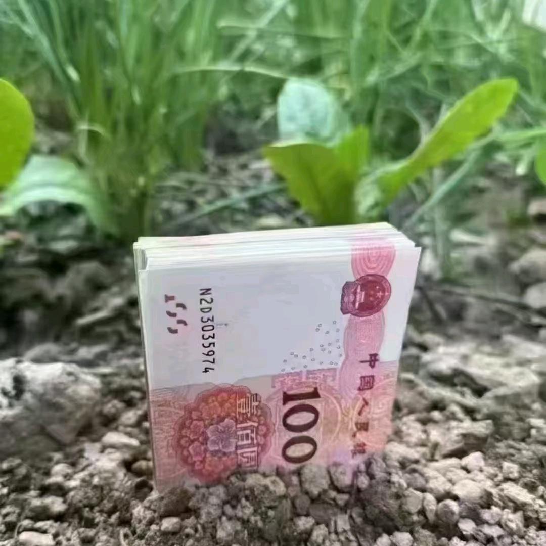 黄府二小姐