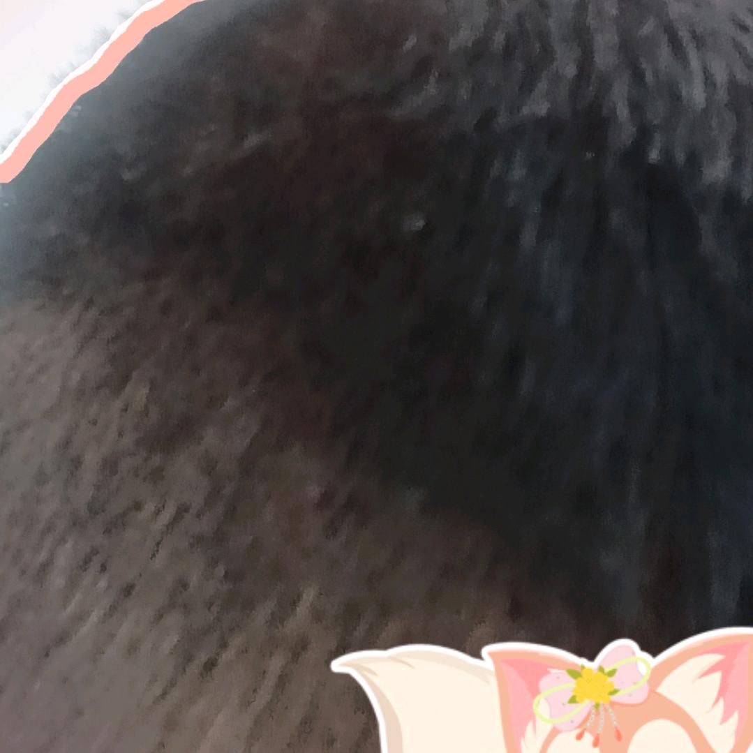 李富贵