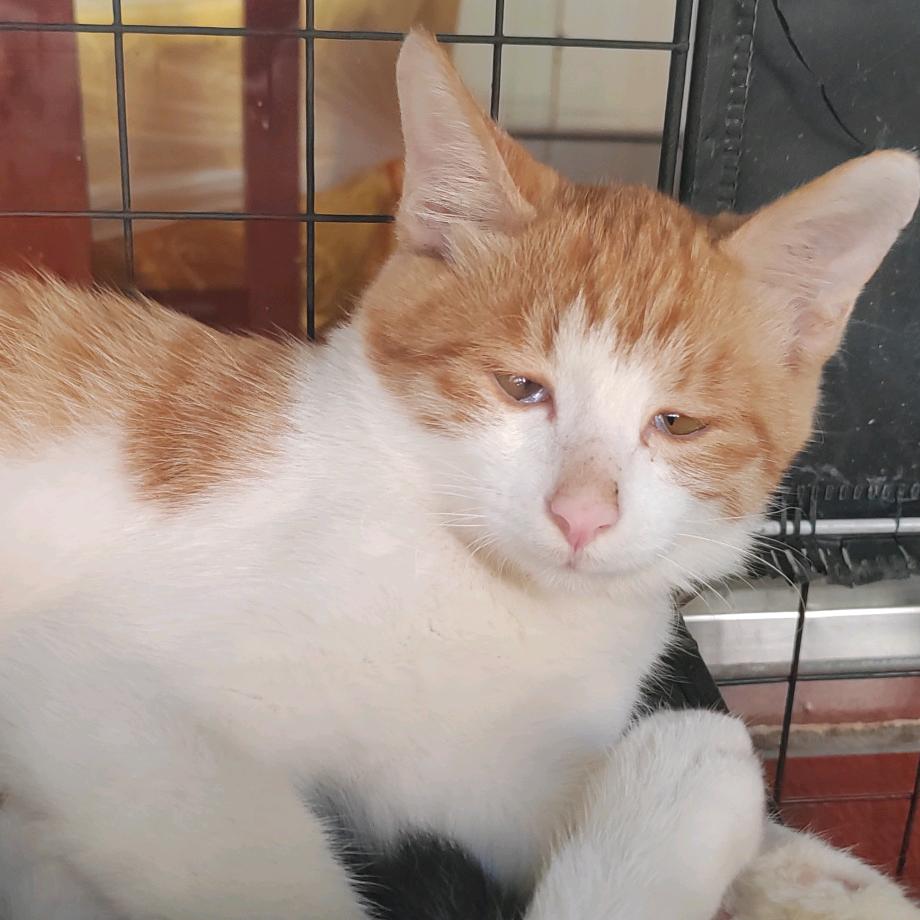 珍爱生命，远离xx