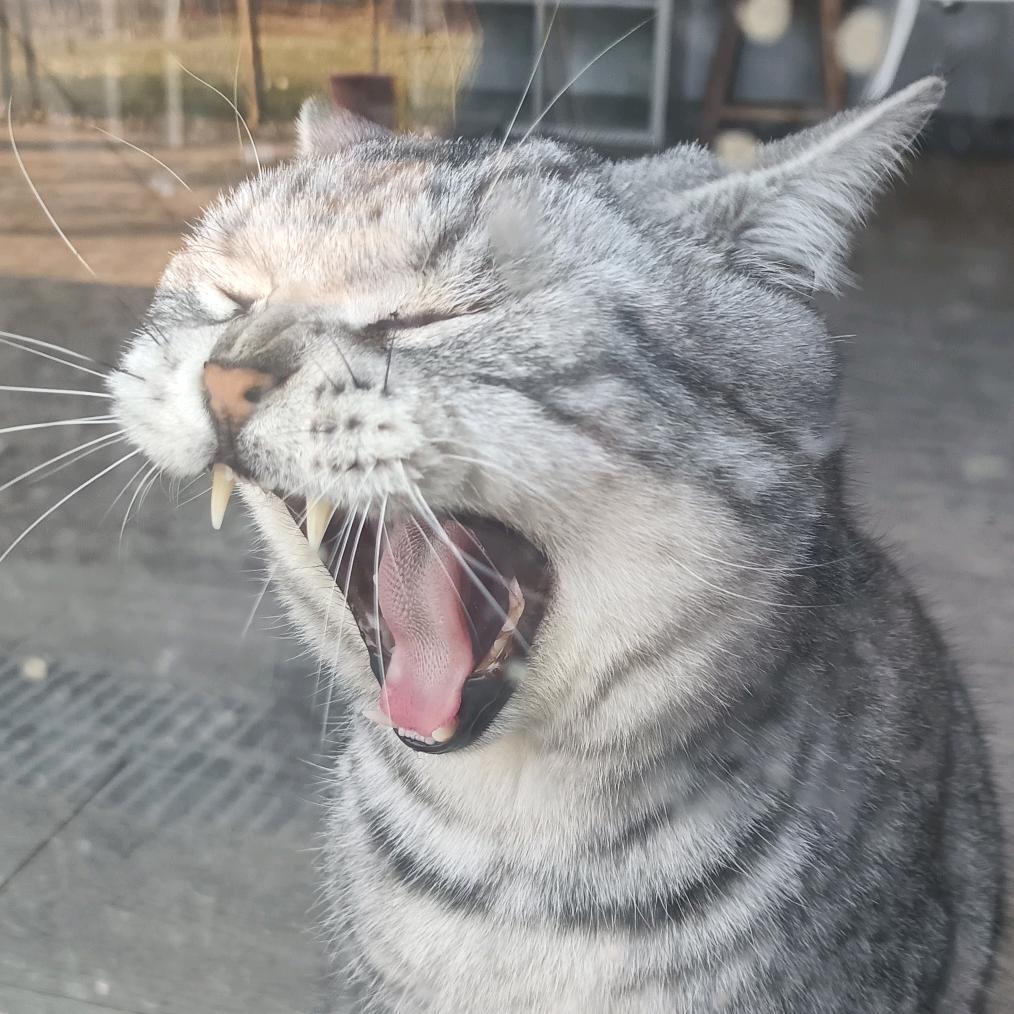 博林特畜牧养殖宠物用品