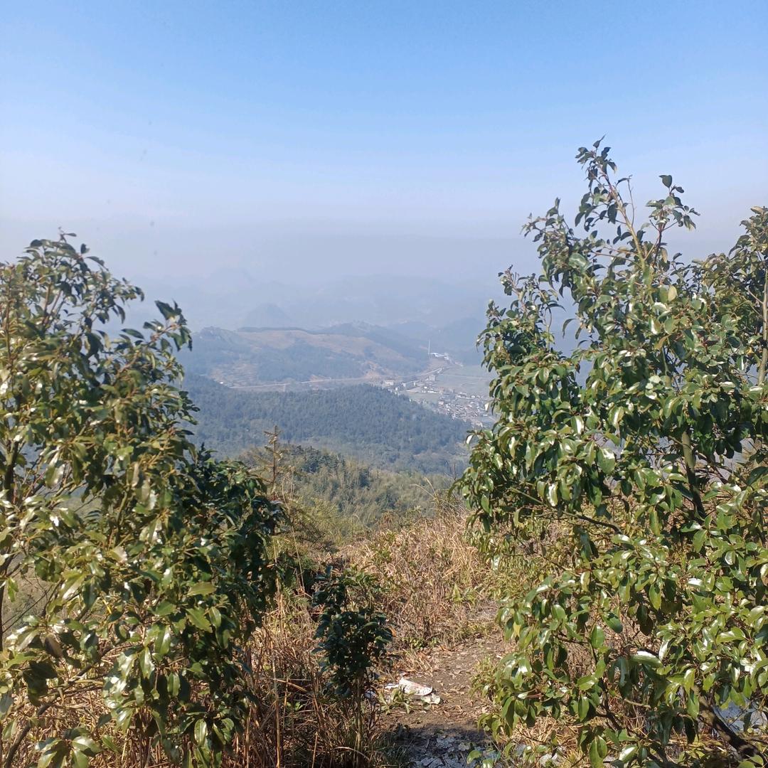小兵