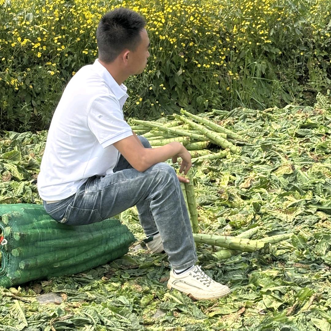 奔跑中的五花肉