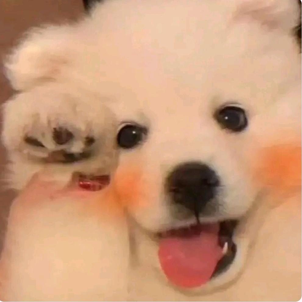 藏青蓝的青春