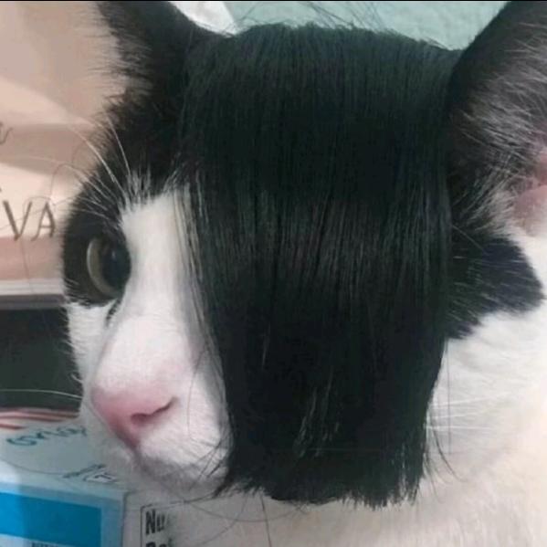 精神充足的小伙