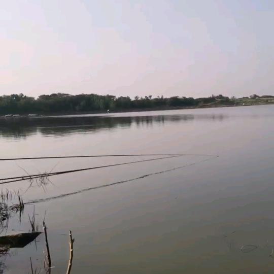 漂不动开心🎣人