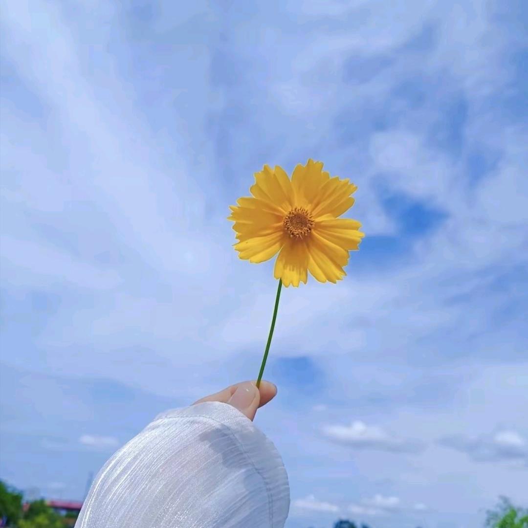 许小青