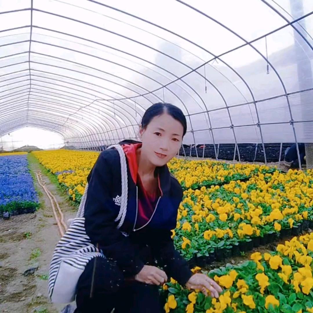 清风爱跳舞。（早上6点十分开播）