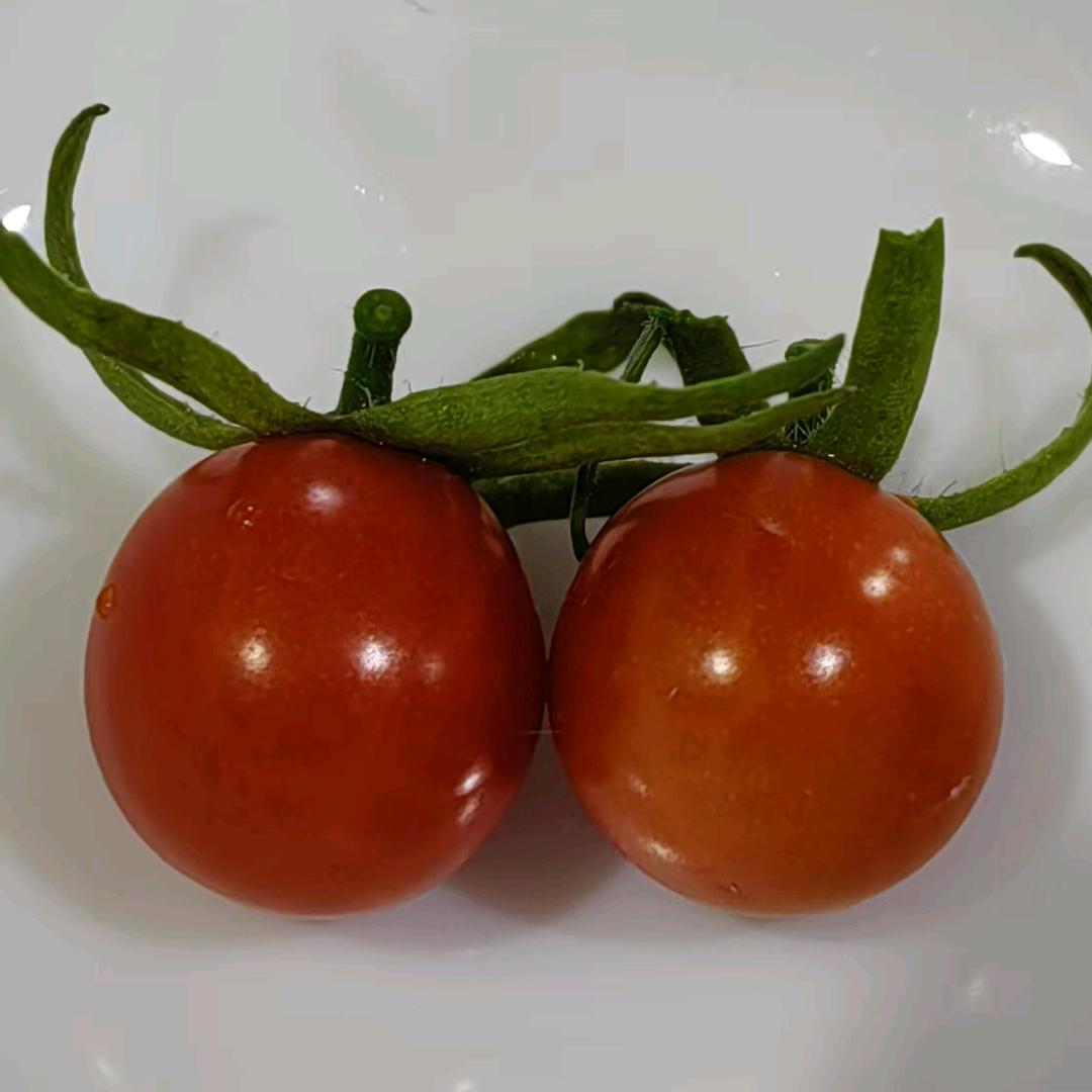 蚁族