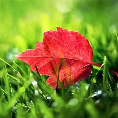 let nature take its