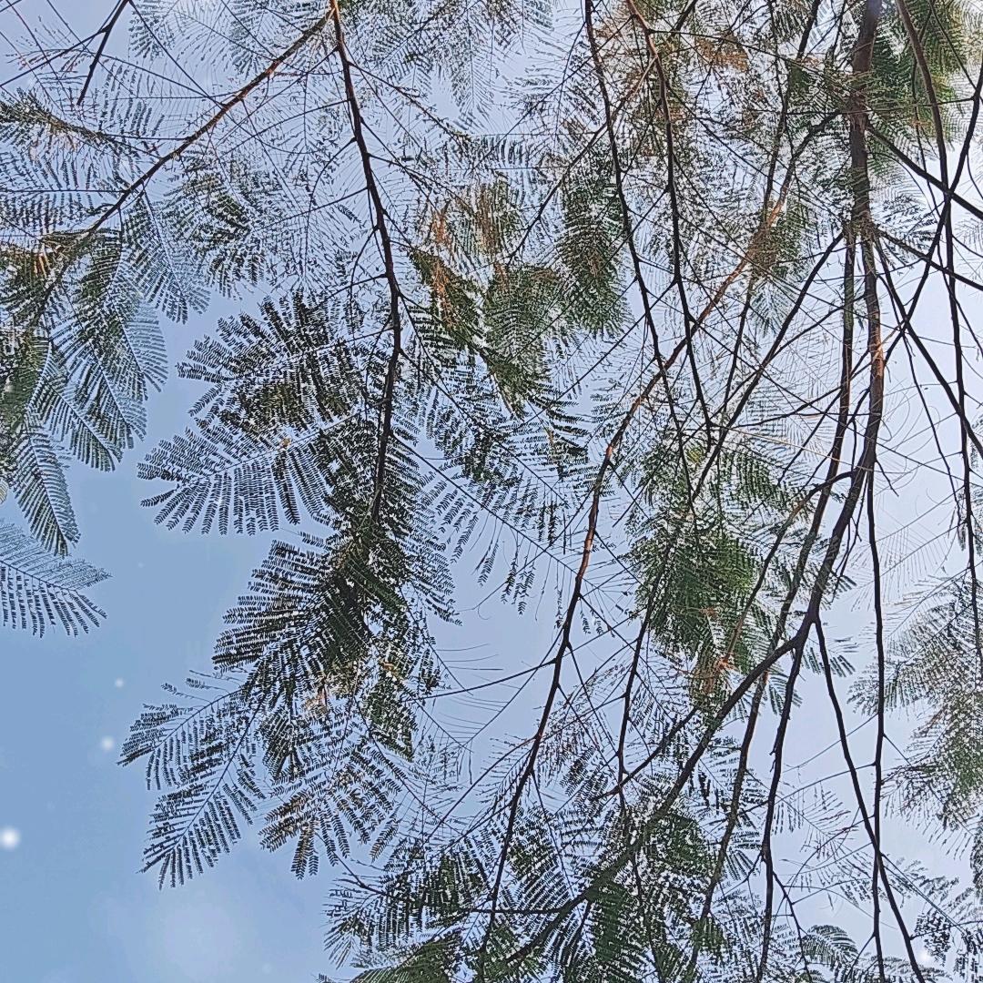 活着更精彩