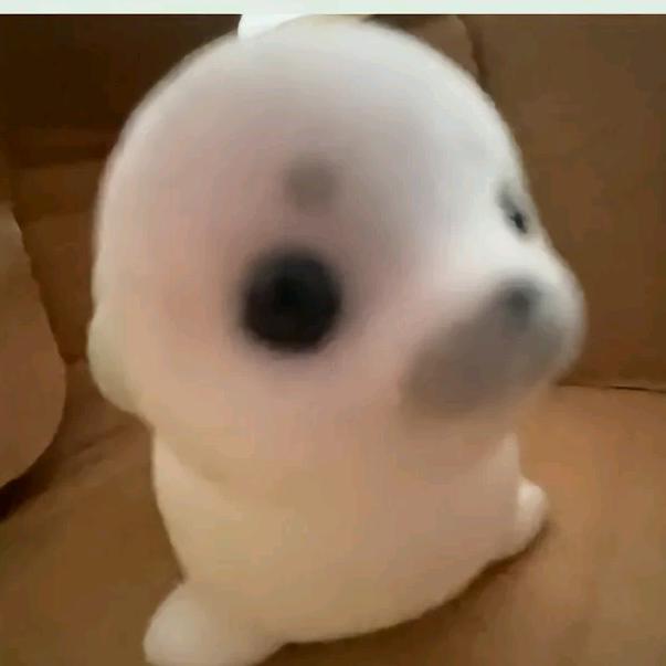 如果我开挖掘机你会爱我么