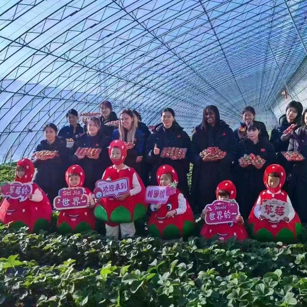 辽立兴种植合作社