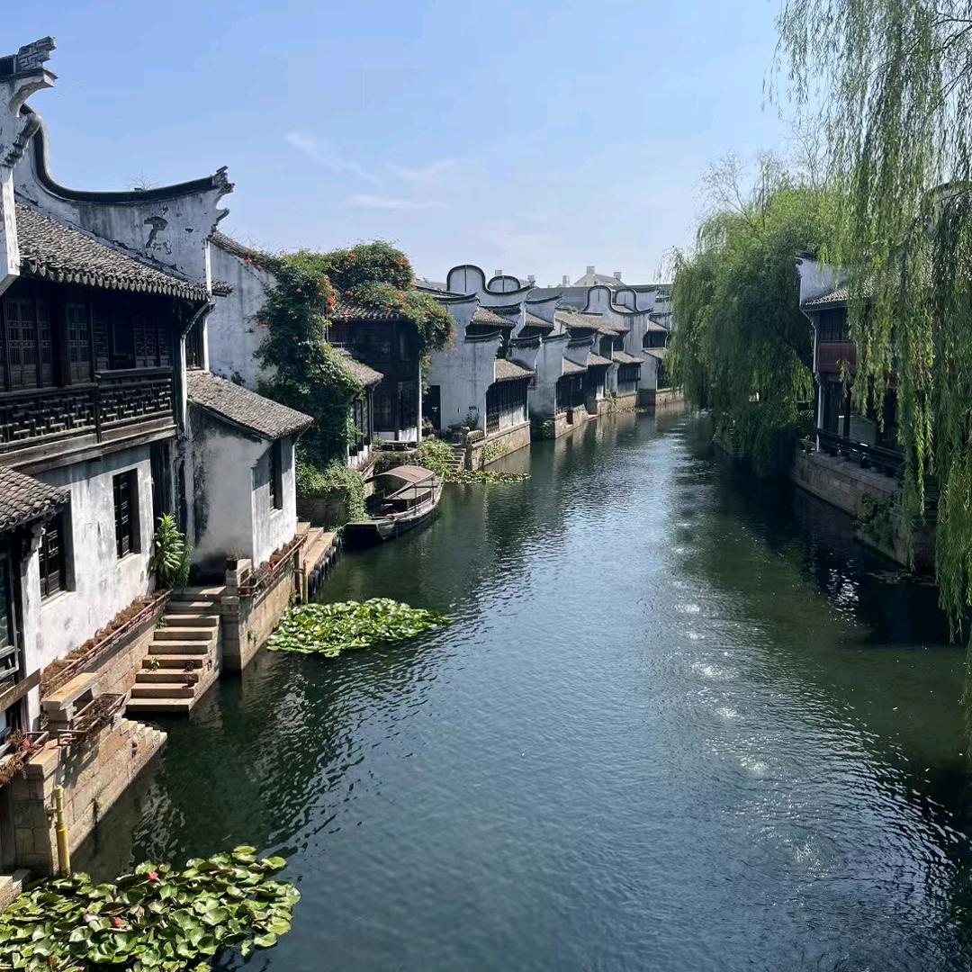 成都  杨氏  工程团队