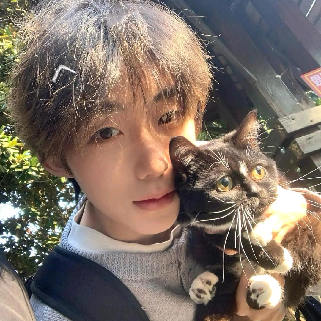 威森