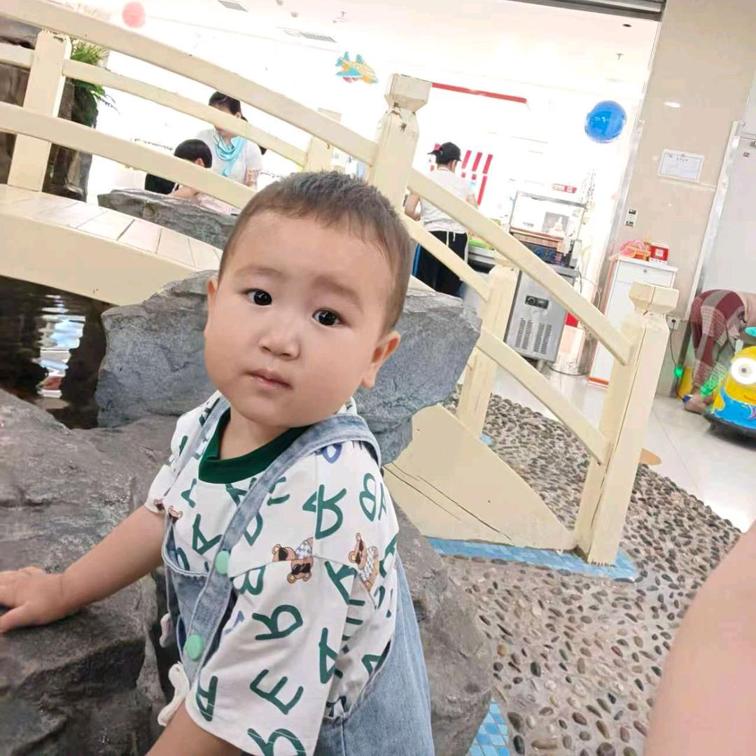 、一条小锦李