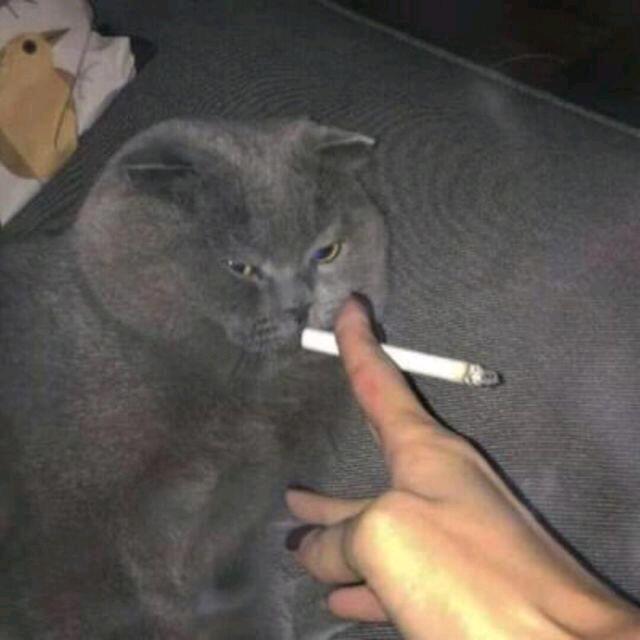 之行