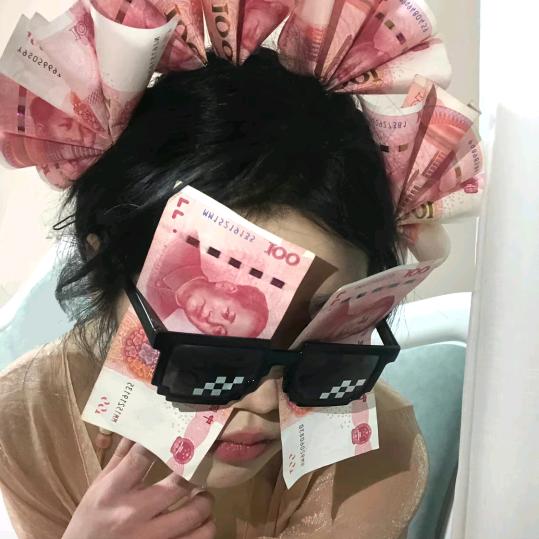 南极熊与北海道