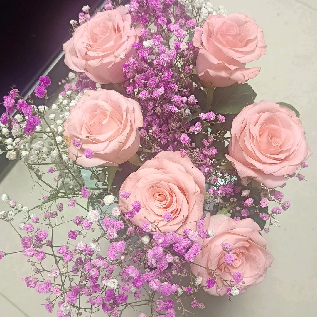 豪．毅．凤．麒．