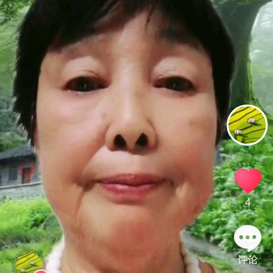 1532玫瑰花