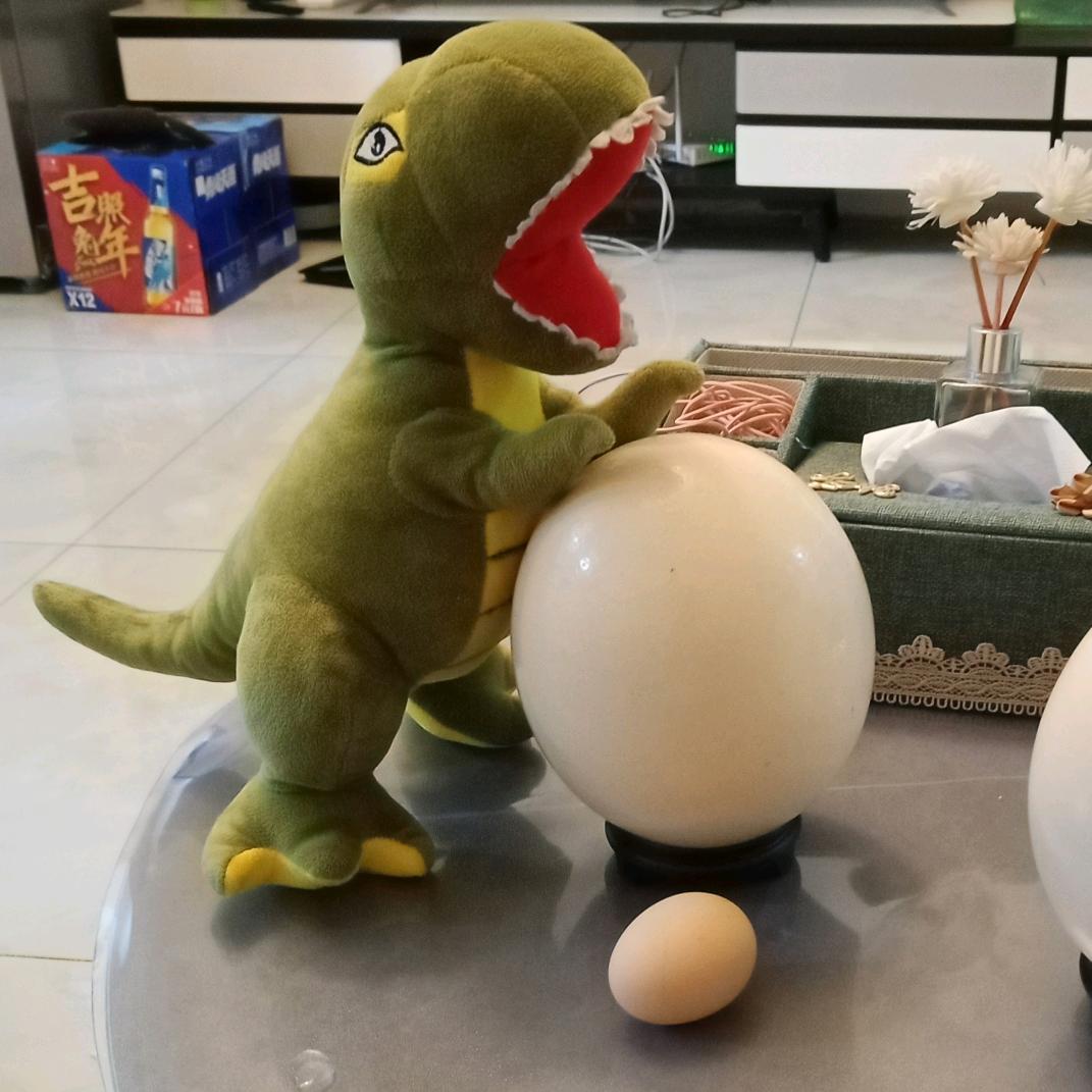 漆宝宝环保设备厂家