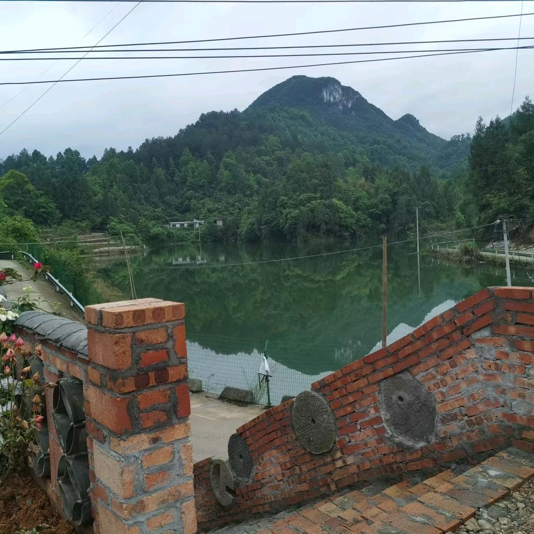 山龙人