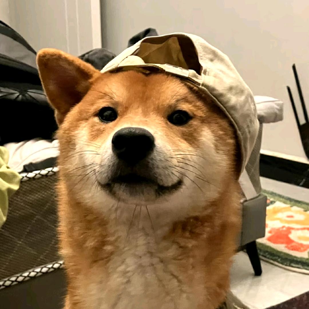 每天都很睡不醒头像